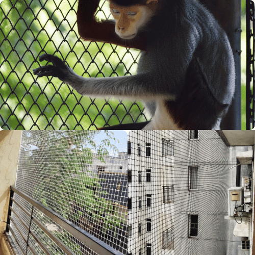 Pigeon Safety Nets In Chennai